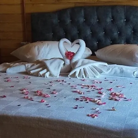 Hotell Doga Park Istasyon *